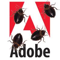 Adobe : Lỗi Flash nghiêm trọng đang tấn công những hệ thống  Windows 7 và XP